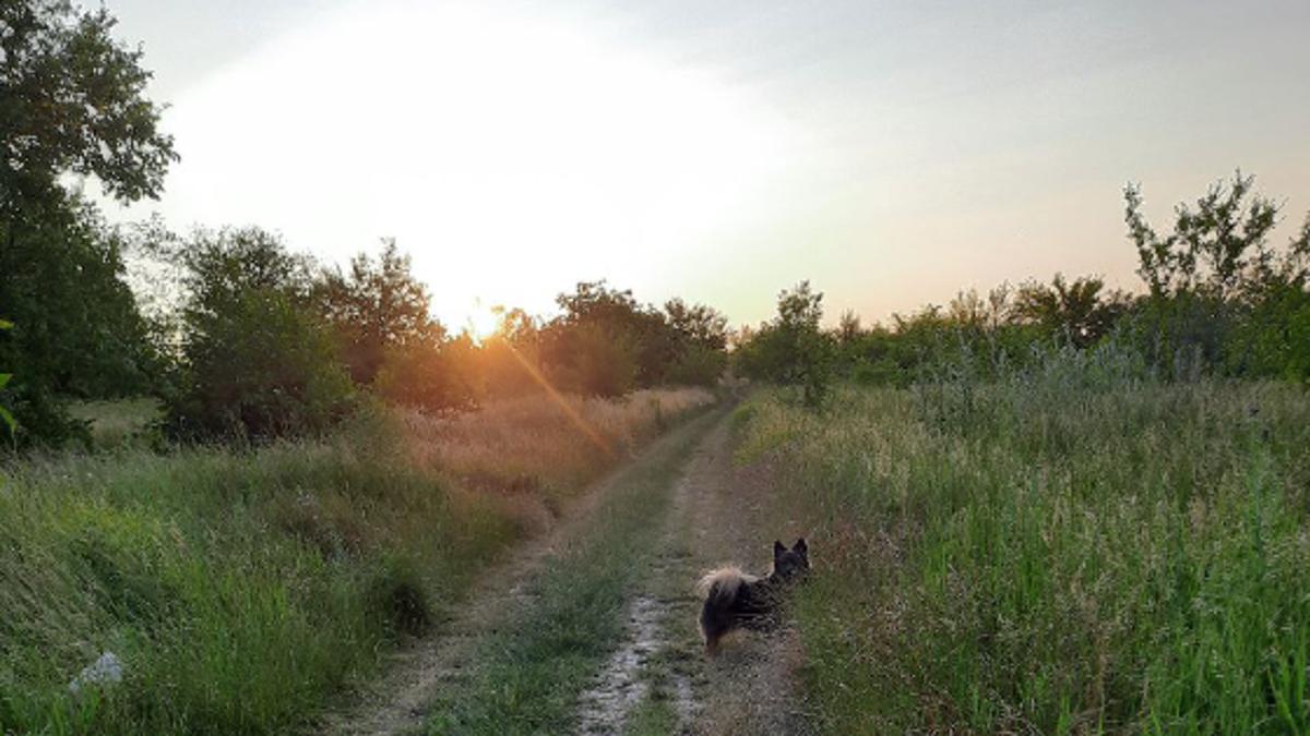 Про невизначеність, тривогу та нові можливості