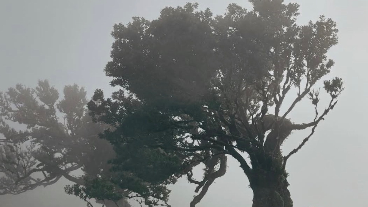 Справжнє обличчя критика– про що він мовчить про себе