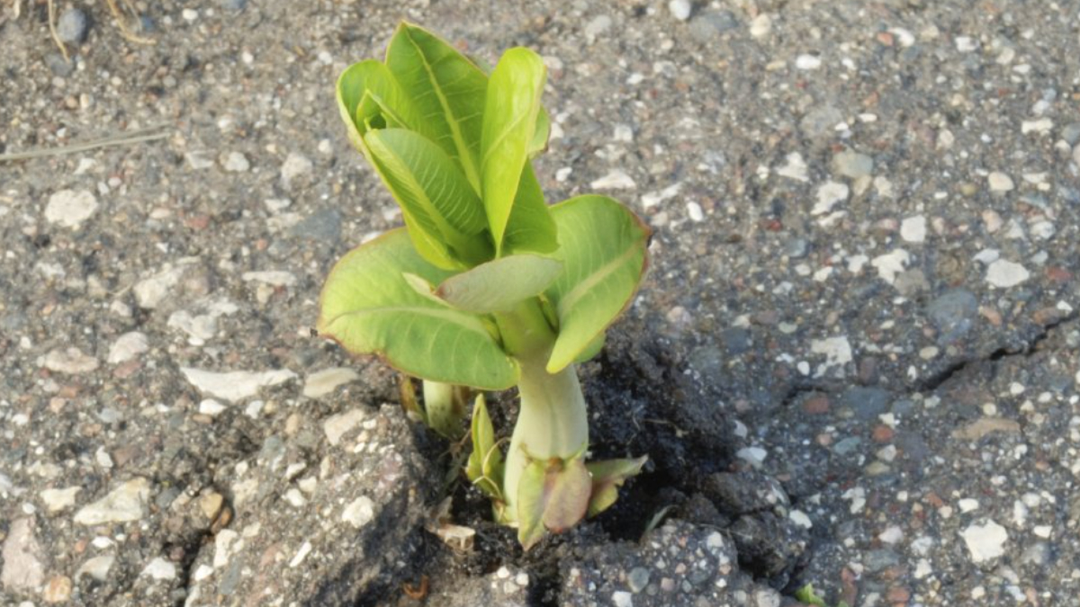 Trainiere deine Resilienz!