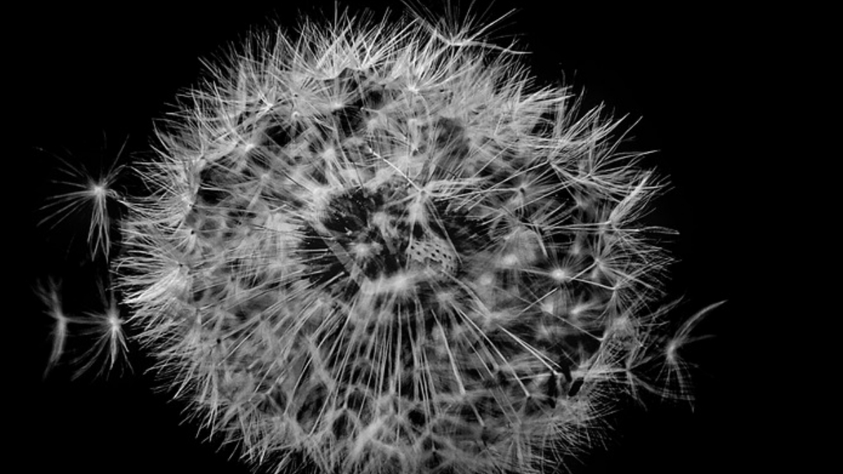 Порада, що збереже твої стосунки