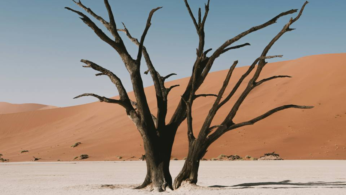 Пастка «зручності»: Як синдром хорошої дитини стирає ваші справжні бажання.