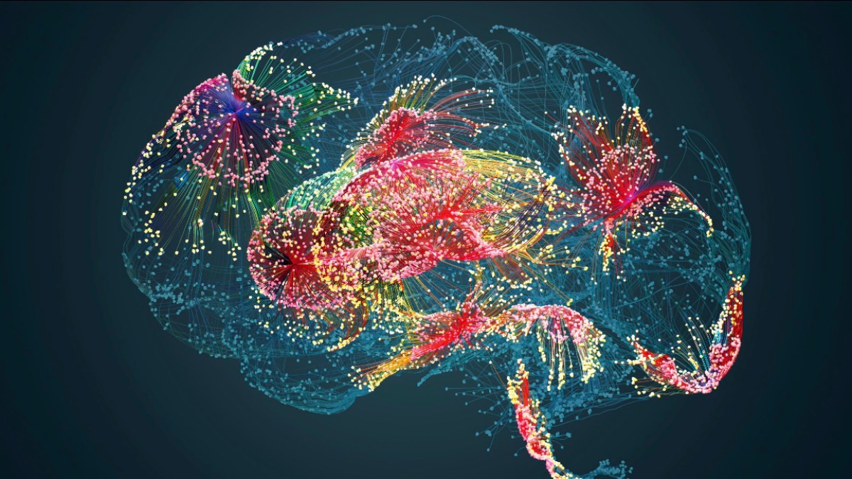 The Dopamine Trap – Why We Can’t Stop Scrolling