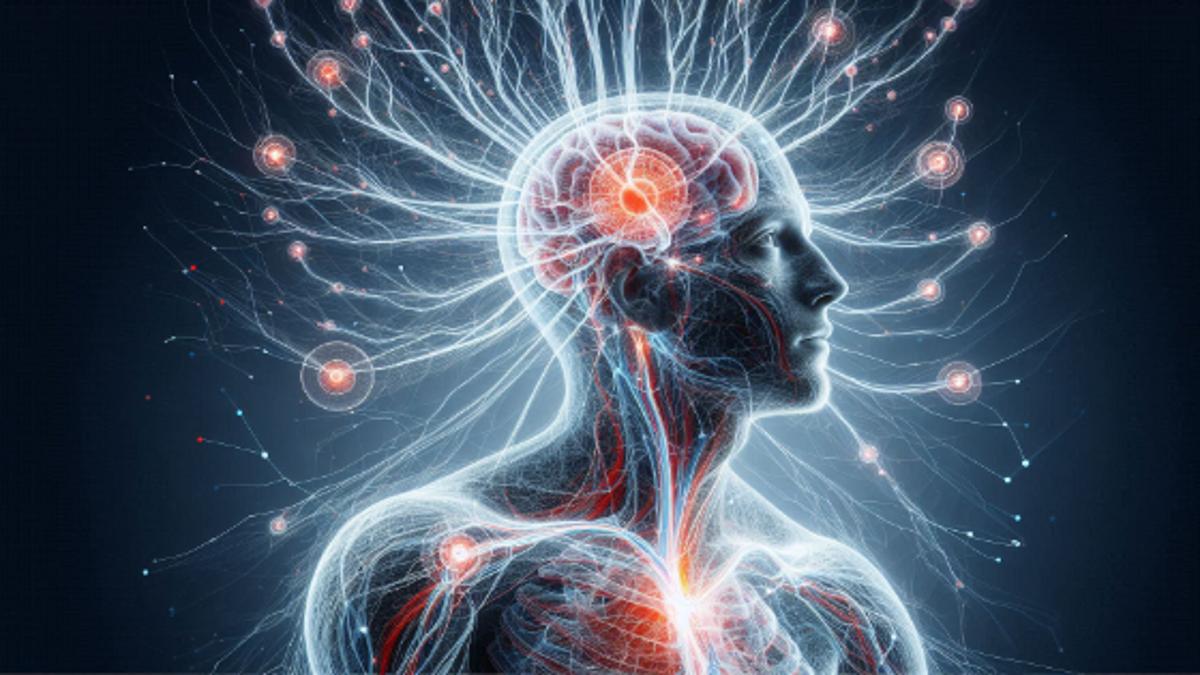 Mirror Neurons: The Key to Empathy, Learning, and Connection