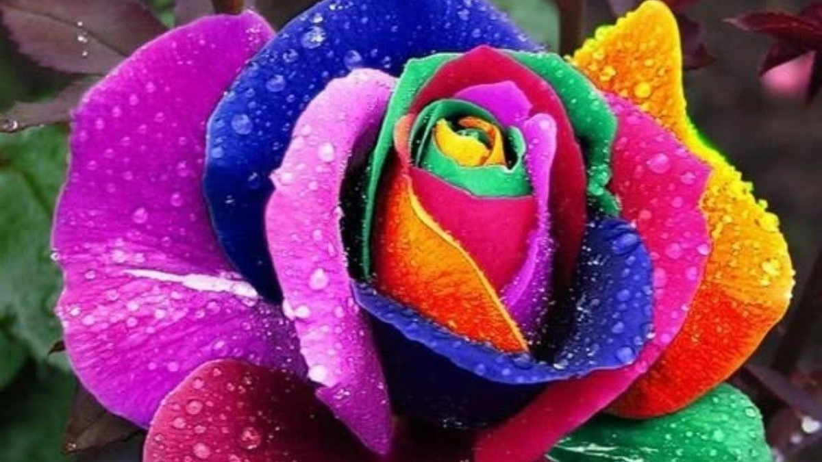 Унікальність