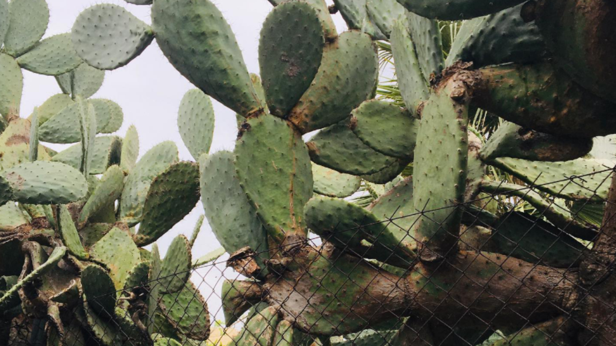 Психологічні бар'єри