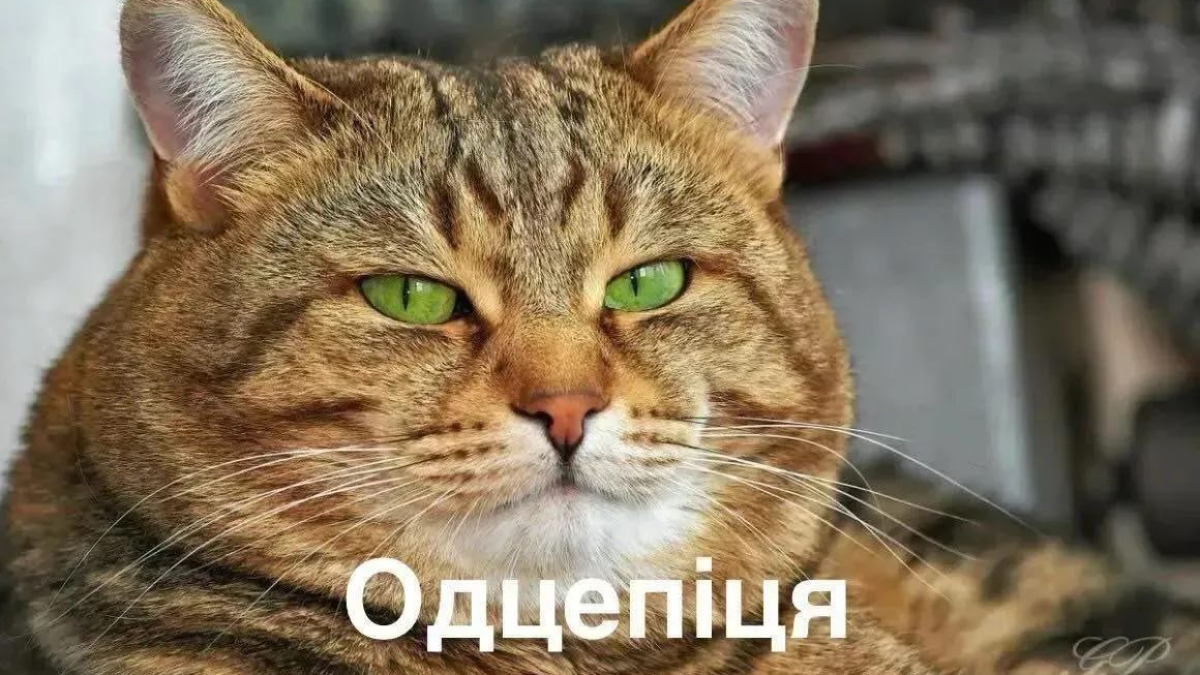 Не соглашаться на меньшее. И на то, что тебе не подходит.