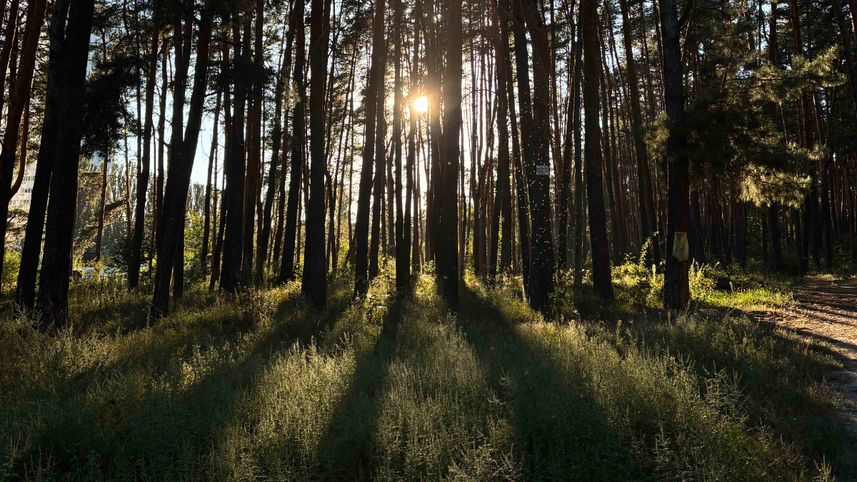 Парадокс усвідомленості: чому ми думаємо, але не помічаємо