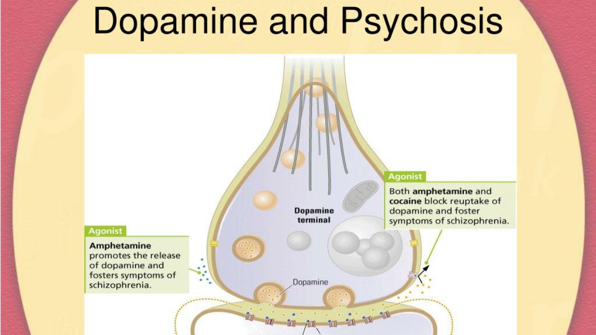The Dopamine Trap: Recognising, Escaping, and Rebuilding a Healthy Reward System