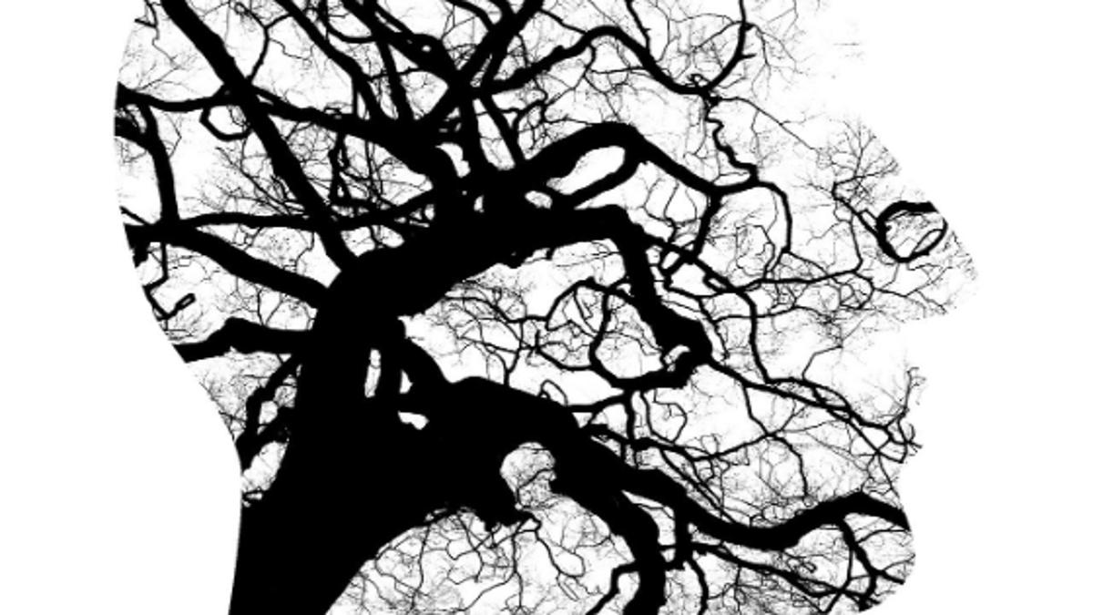 A importância de dizer “não”: um olhar para o autocuidado.