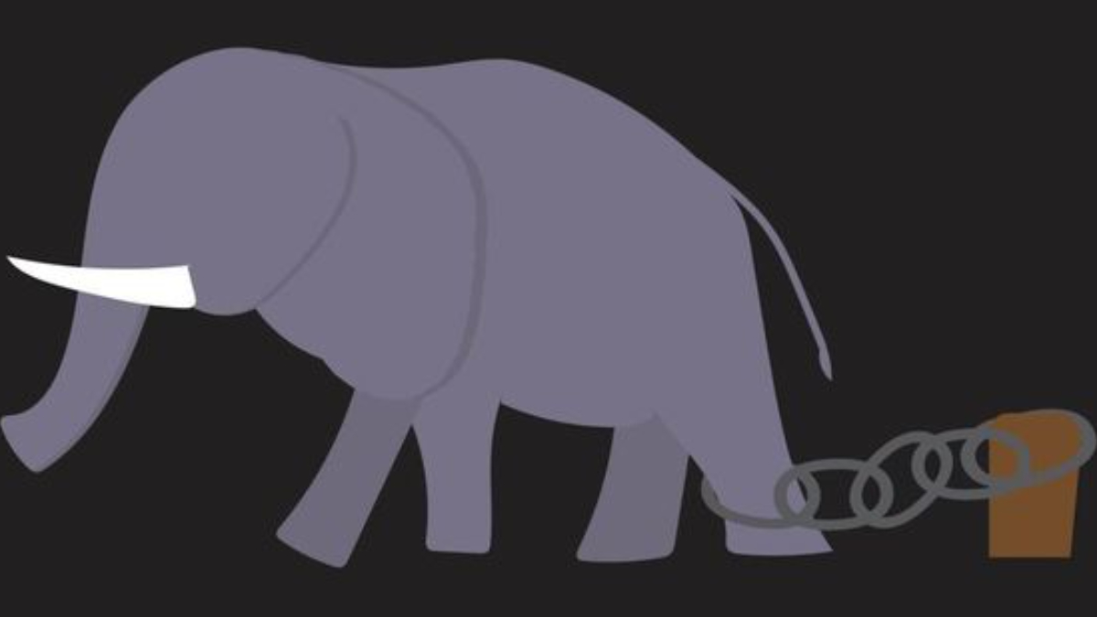 Learned Helplessness: “When you stop trying because trying stopped working.”