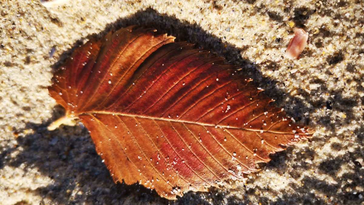 Как увидеть кому вы интересны