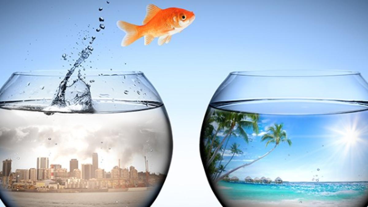 Не дата змінює життя. Зміни починаються в голові