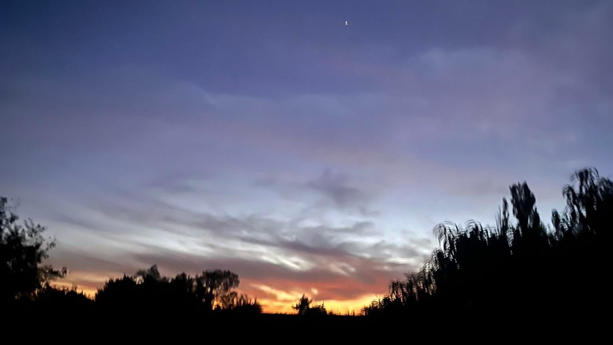 Про межу яка народжується з тіла