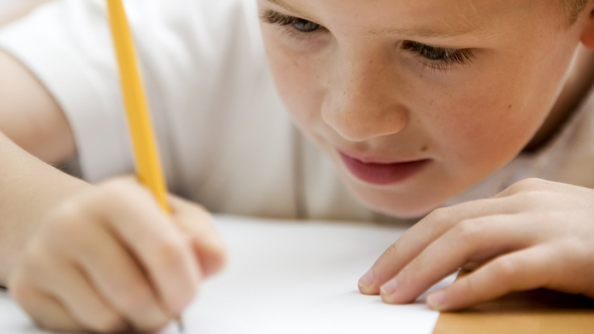 Was sind die Grundlagen von Konzentration und Lernfähigkeit?