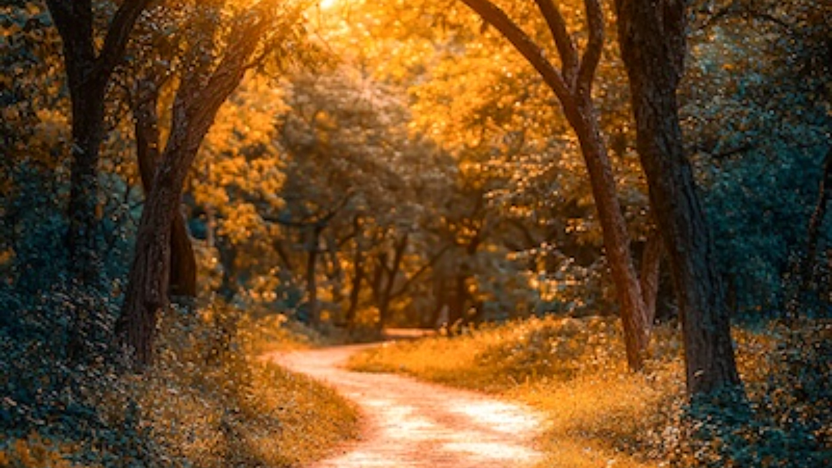 Help Is On the Way: Why You Don’t Have to Carry the Weight Alone