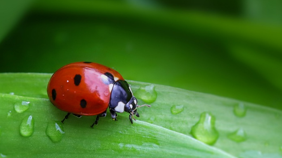 Не розчаровуйся в чоловічому світі
