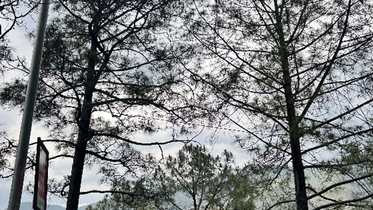 Pain as a pathway to healing