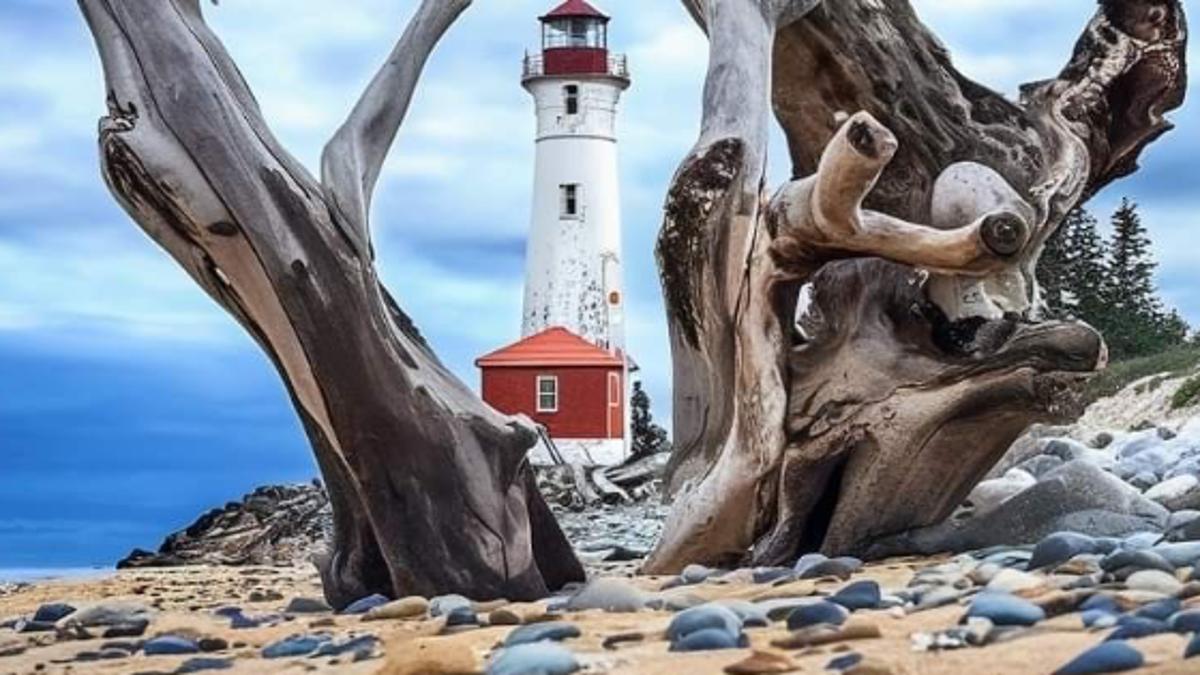 Изменение паттернов поведения