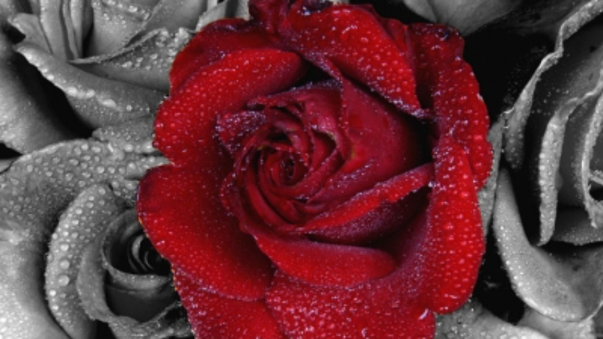 Зростання, через усвідомлення змін