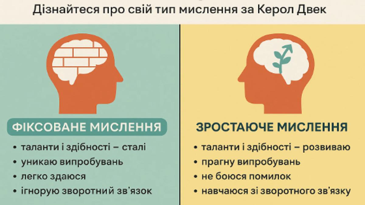 Фіксоване чи зростаюче? Дізнайтеся про свій тип мислення за Керол Двек